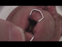 Poor Dong is being tormented by wire.